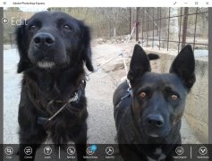 Adobe Photoshop Express imagen 2 Thumbnail