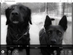 Adobe Photoshop Express imagen 3 Thumbnail
