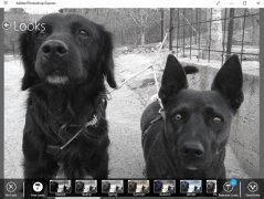 Adobe Photoshop Express imagen 4 Thumbnail