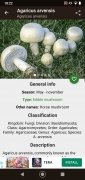 Book of Mushrooms imagen 1 Thumbnail