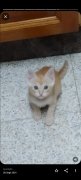 Google Fotos imagen 13 Thumbnail