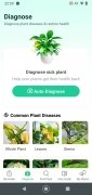 Plant Parent image 2 Thumbnail