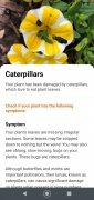 Plant Parent image 4 Thumbnail