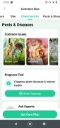 Plant Parent image 9 Thumbnail