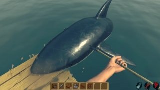 Raft image 6 Thumbnail