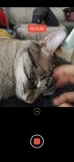 Selfie Camera for iPhone 13 imagen 9 Thumbnail