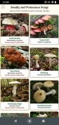 Shroomify imagen 9 Thumbnail