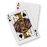 Blackjack Instructor