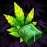Hempire 2.40.2 Français