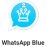 WhatsApp Blue 42.00