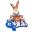 eMule Italiano